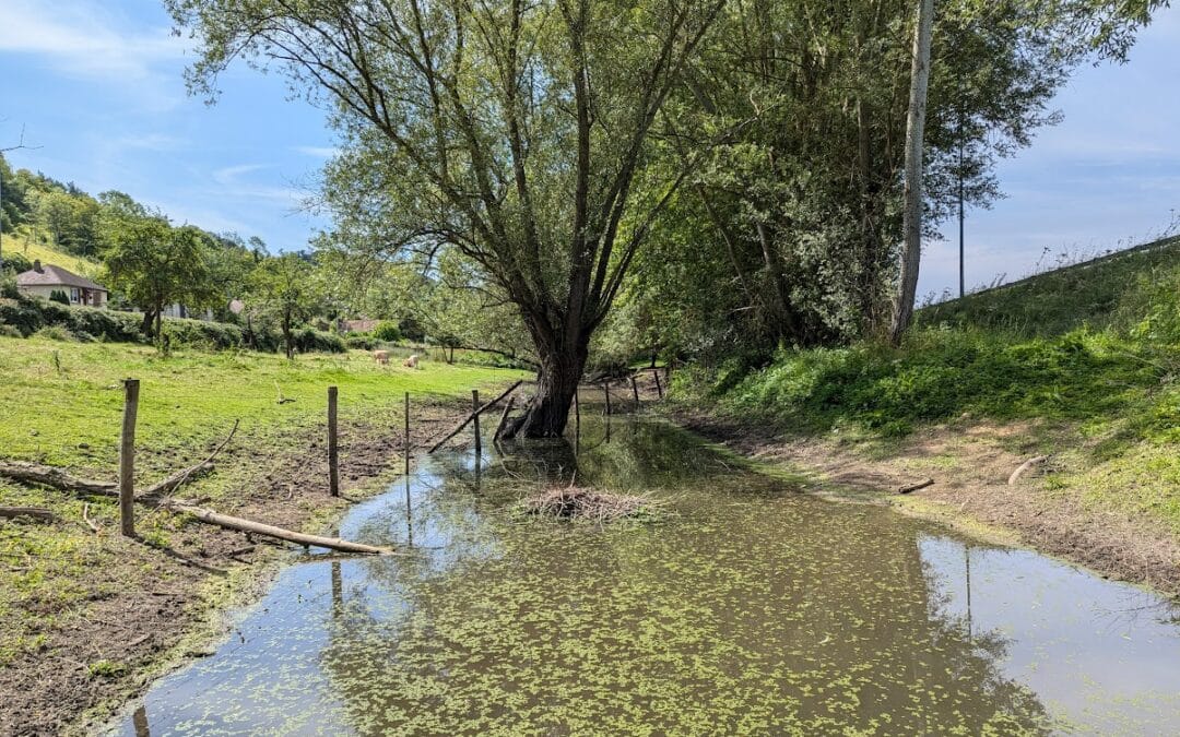 Diagnostic des berges et du réseau hydraulique sur la Communauté d’Agglomération Seine-Eure